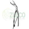 Bone Holding Forceps 28cm/11" - Item Code 12-3785-28