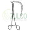 Guyon Kidney Pedicle Clamp Forceps BJ 23cm/9" - Item Code 25-6003-23