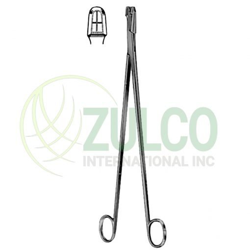 Schubert Cervical Biopsy and Specimen Forceps 29cm/11 1/4" - Item Code 26-6304-29