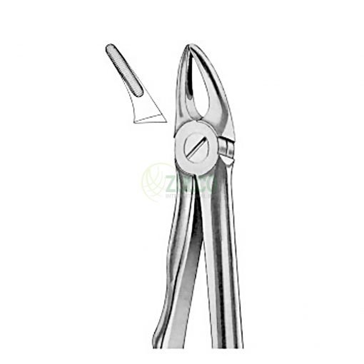 Extracting Forceps With Fitting Handle Fig. 30S Upper Roots For Children - Item Code 1162