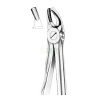 Extracting With Fitting Handle Fig. 39 Upper Incisors For Children - Item Code 1169