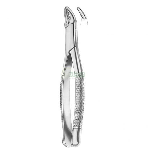 Extracting Forceps For American Pattern Fig. 101 Deciduous Teeth - Item Code 1266