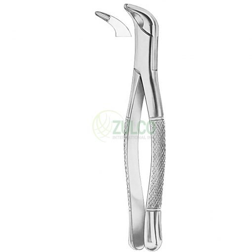 Extracting Forceps For American Pattern Fig. 203 Lower Incisors And Roots - Item Code 1274